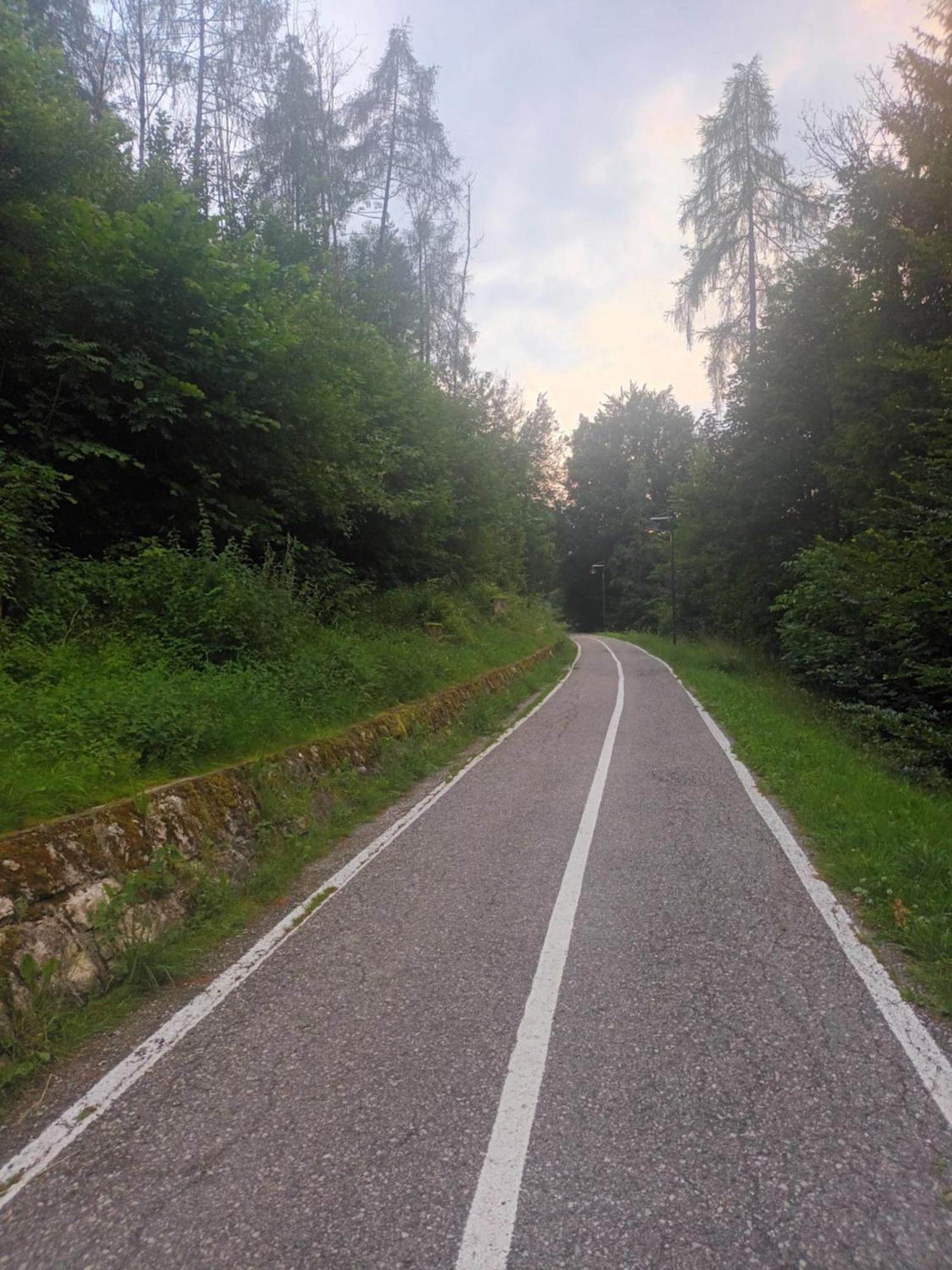 Ciasa De Le Nene - Dolomiti Guesthouse ปีแอเว ดี กาโดเร ภายนอก รูปภาพ